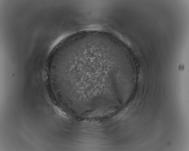 X0000092221400200709281034