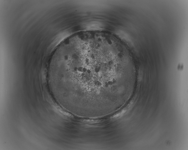 X0000092221401200709281034