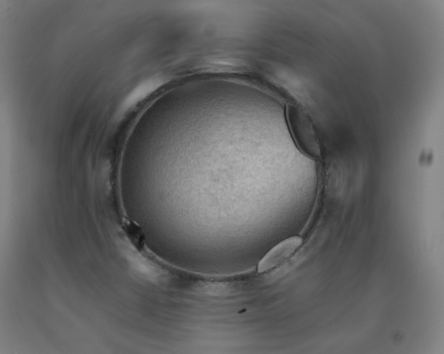 X0000092221402200709281034