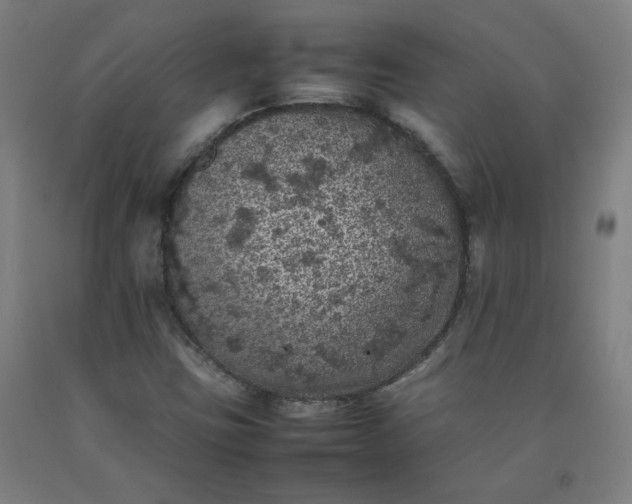 X0000092221403200709281034