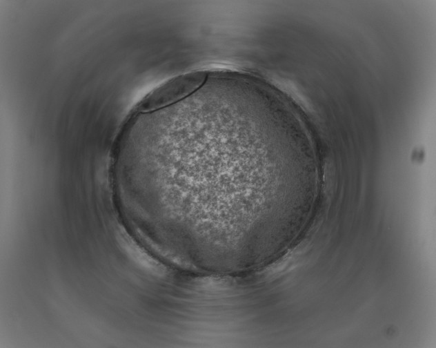 X0000092221404200709281034