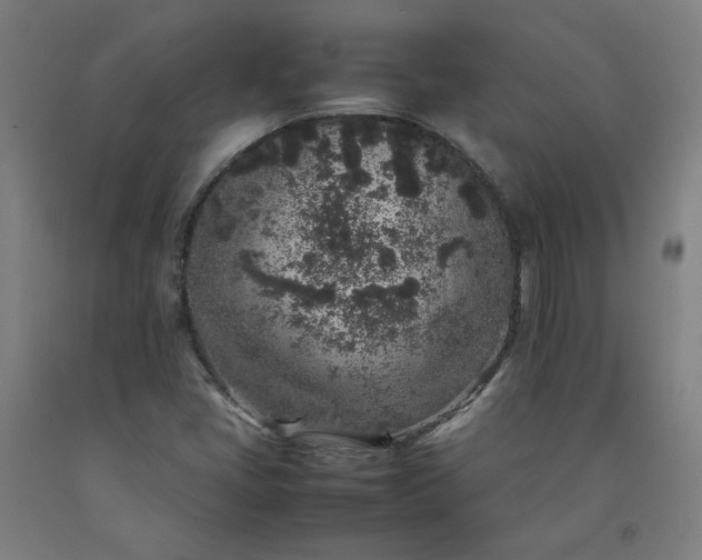 X0000092221405200709281034
