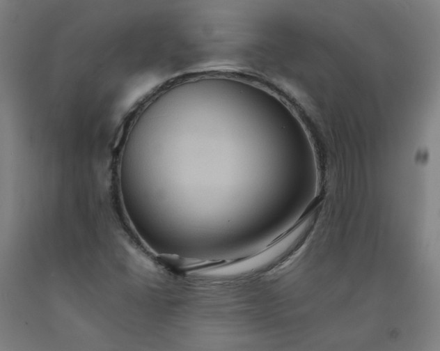 X0000092221406200709281034