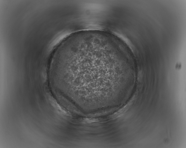 X0000092221407200709281034