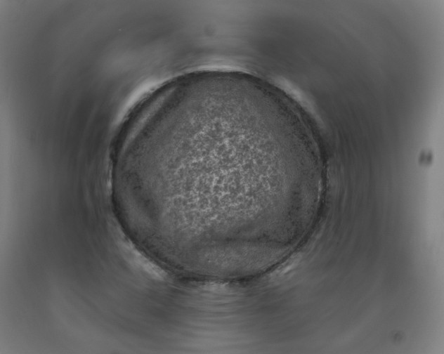 X0000092221408200709281034