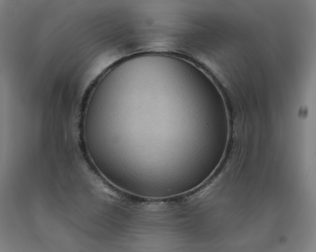 X0000092221410200709281034