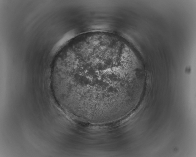 X0000092221411200709281034