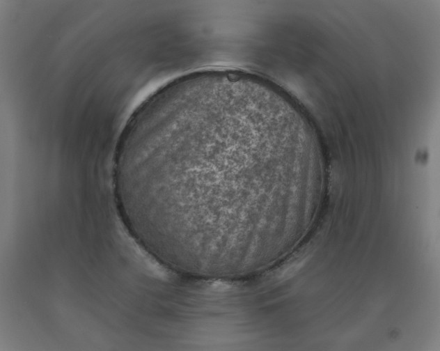 X0000092221412200709281034