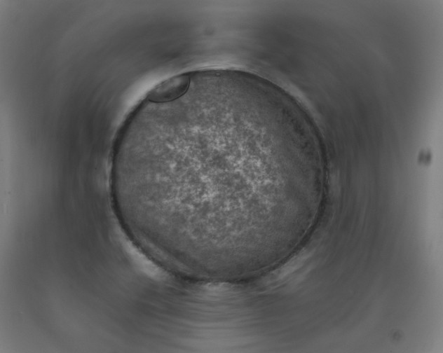 X0000092221416200709281034