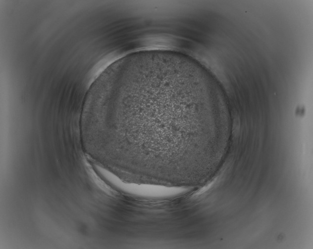 X0000092221417200709281034