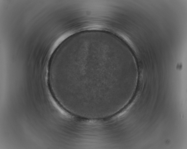 X0000092221418200709281034