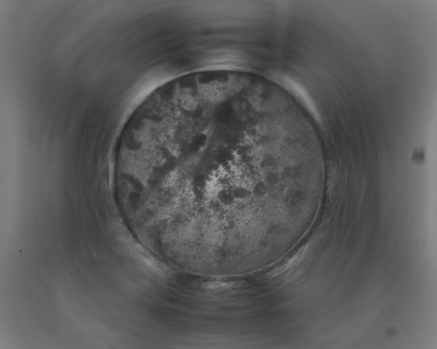 X0000092221419200709281034