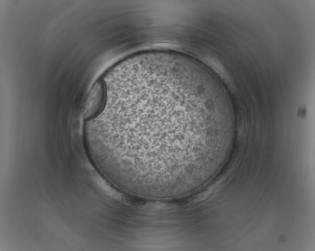 X0000092221420200709281034
