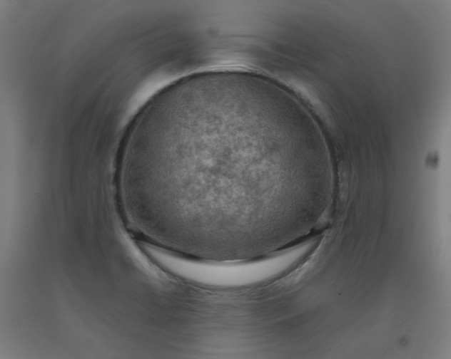 X0000092221422200709281034