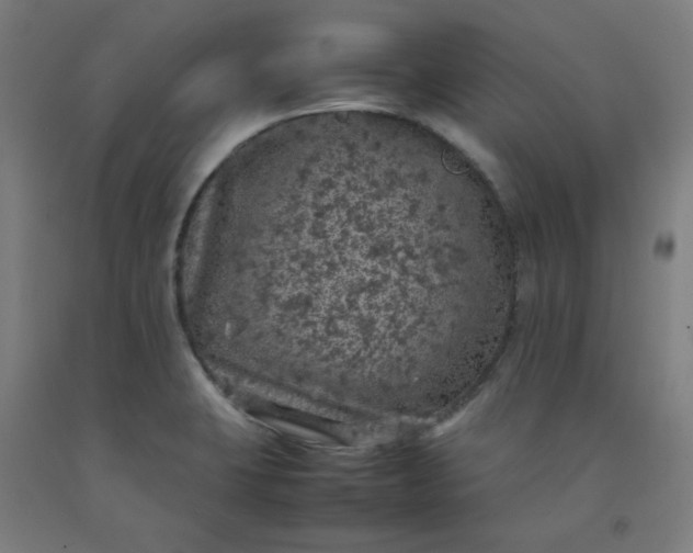 X0000092221423200709281034