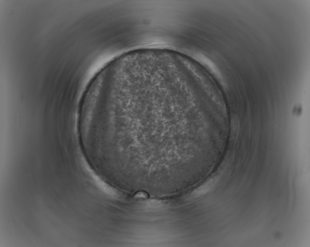 X0000092221424200709281034