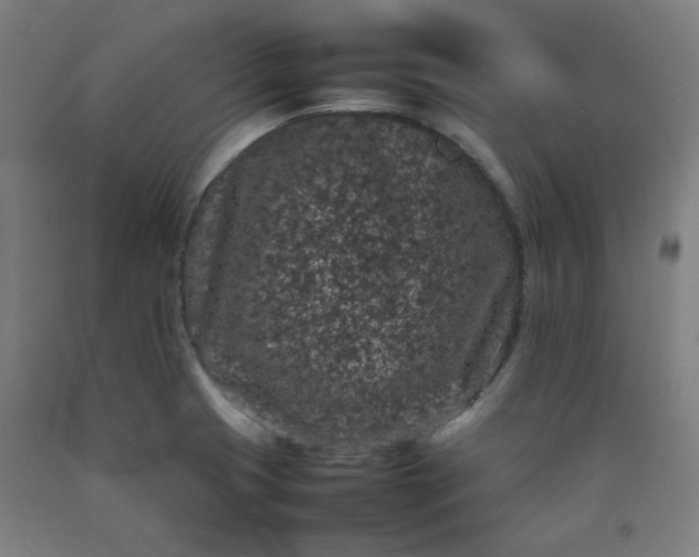 X0000092221425200709281034