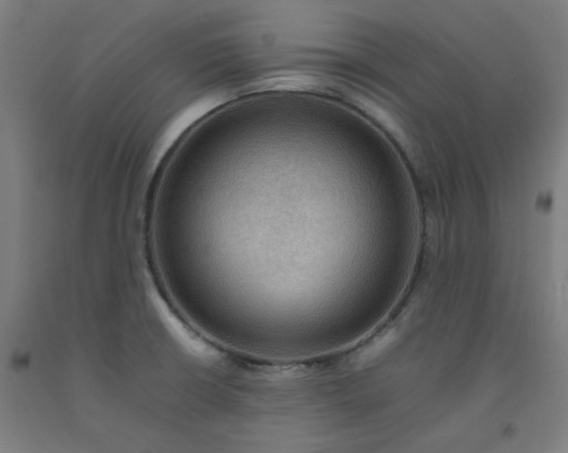 X0000092221426200709281034