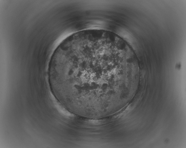 X0000092221427200709281034