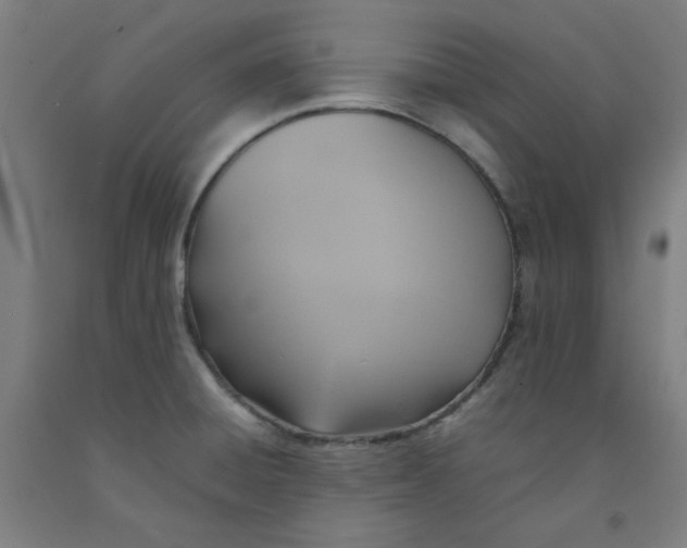 X0000092221428200709281034