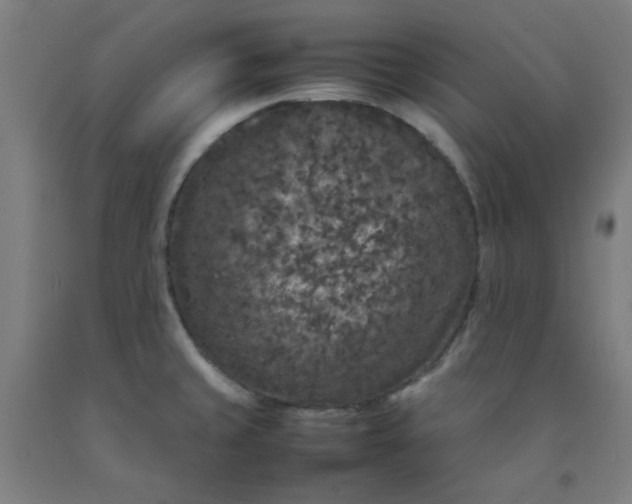 X0000092221429200709281034