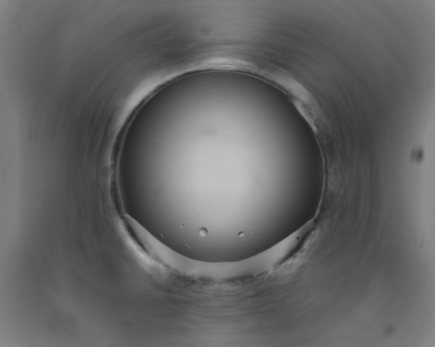 X0000092221430200709281034