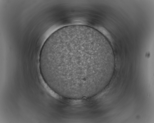 X0000092221431200709281034