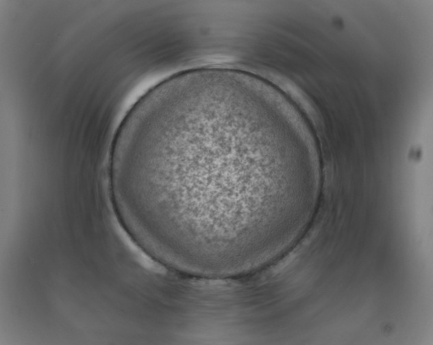 X0000092221432200709281034