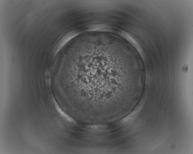 X0000092221433200709281034