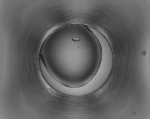 X0000092221434200709281034