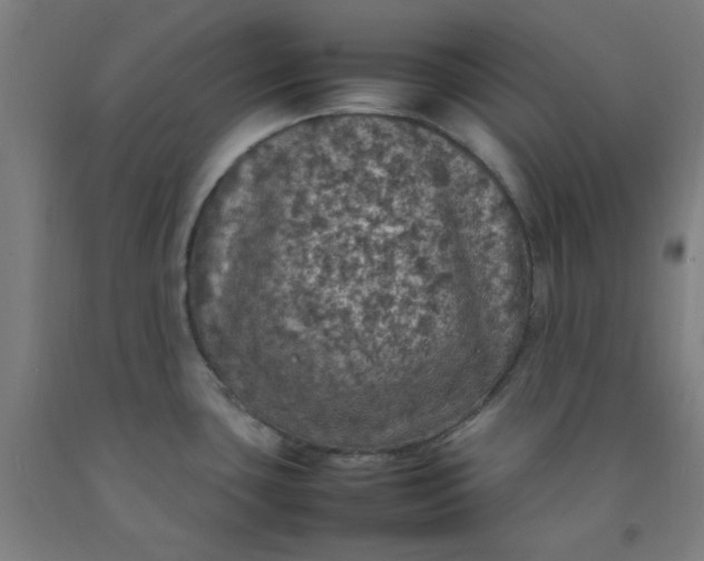 X0000092221435200709281034