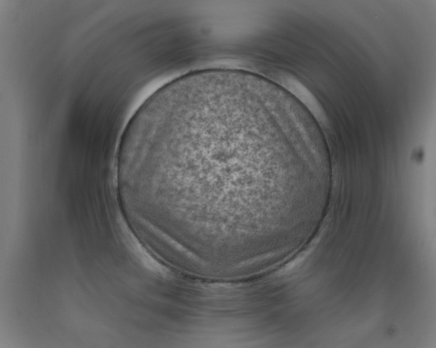 X0000092221436200709281034