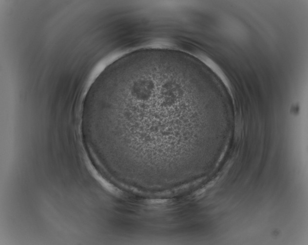 X0000092221437200709281034