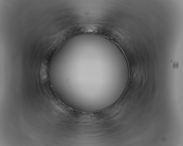 X0000092221442200709281034