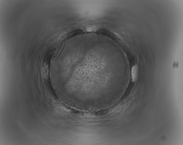 X0000092221443200709281034