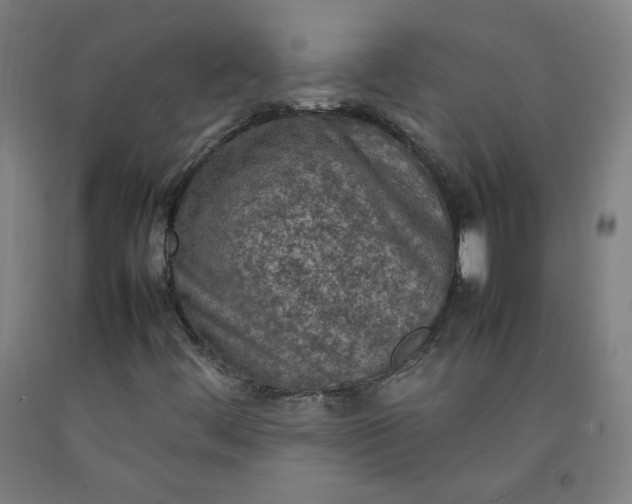 X0000092221444200709281033