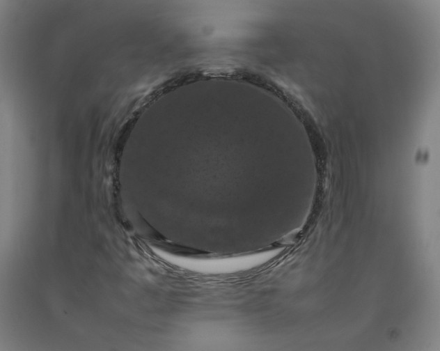 X0000092221445200709281033