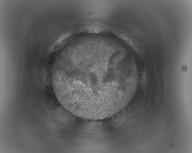 X0000092221446200709281033
