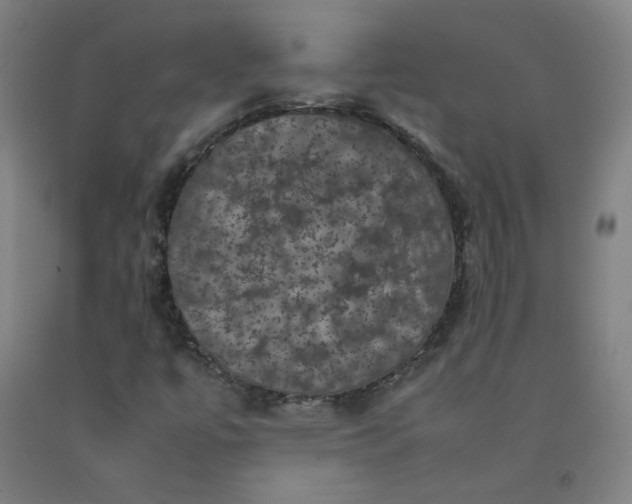 X0000092221447200709281033