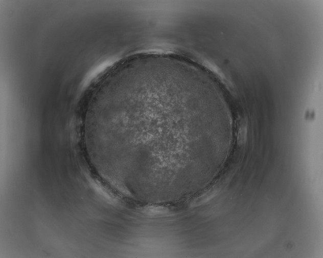 X0000092221448200709281033