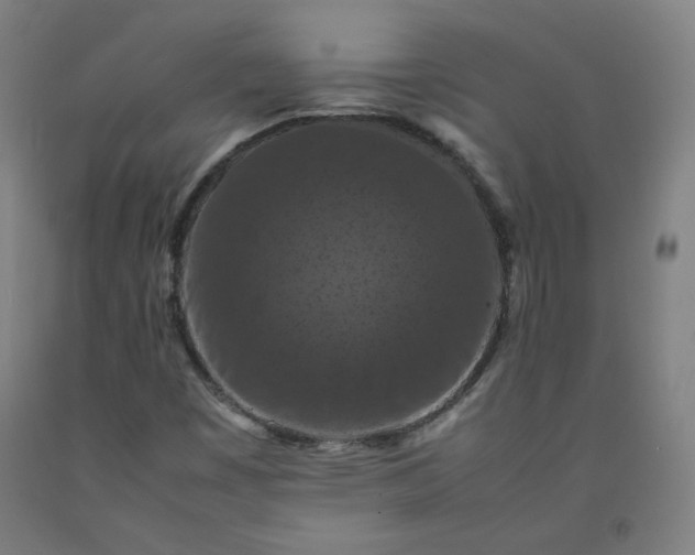 X0000092221449200709281033