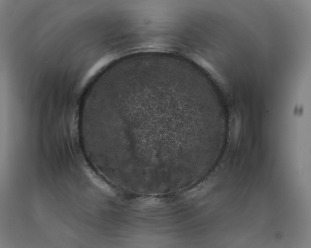X0000092221450200709281033