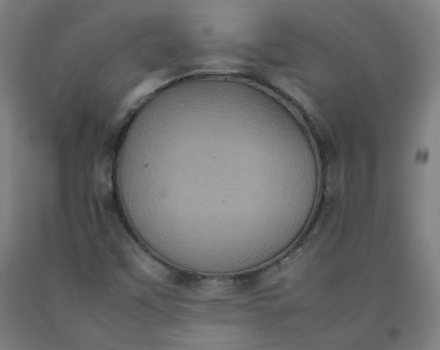 X0000092221451200709281033