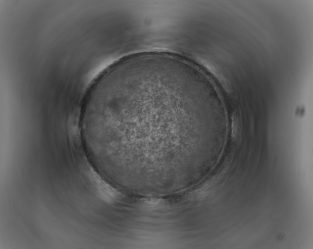 X0000092221452200709281033