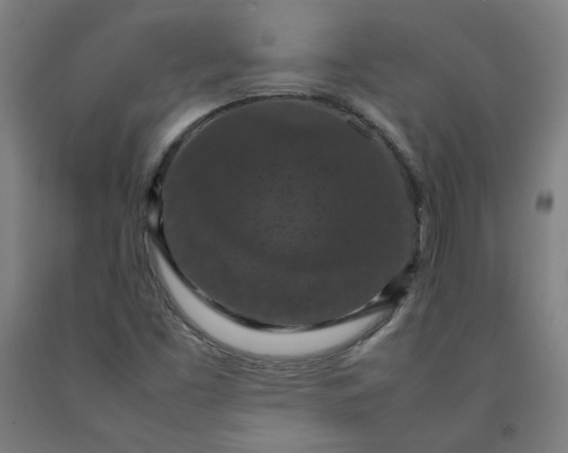 X0000092221453200709281033