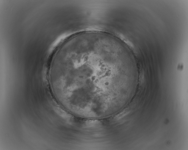X0000092221454200709281033