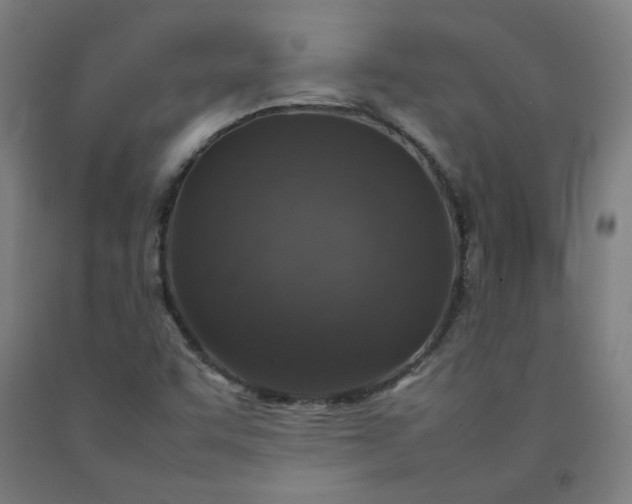X0000092221455200709281033