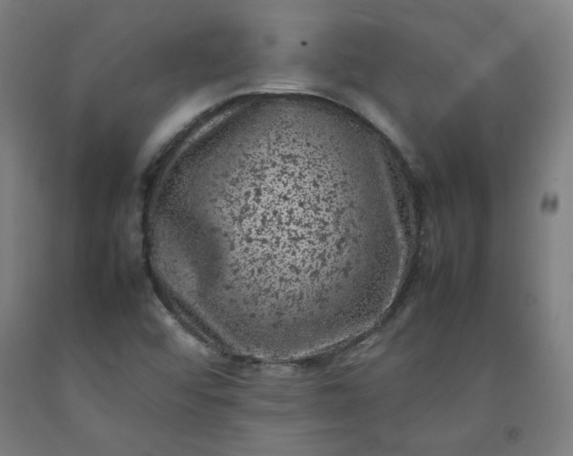 X0000092221456200709281033