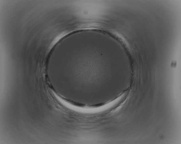 X0000092221457200709281033