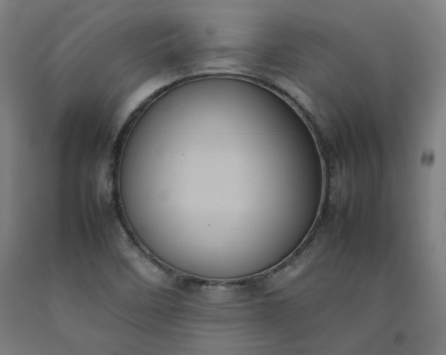 X0000092221458200709281033